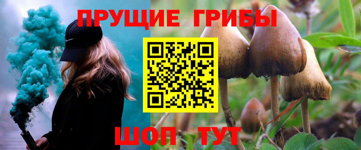 Гашиш  NBOMe  A-PVP СК кристаллы  Конопля  МЕФ   Гашиш  Кызыл  Канабис  Вход с VPN  МДМА 