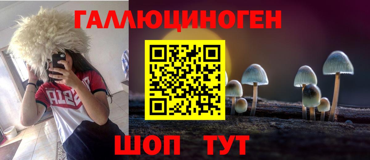 Кызыл  Псилоцибиновые грибы Cubensis  Вход с VPN 